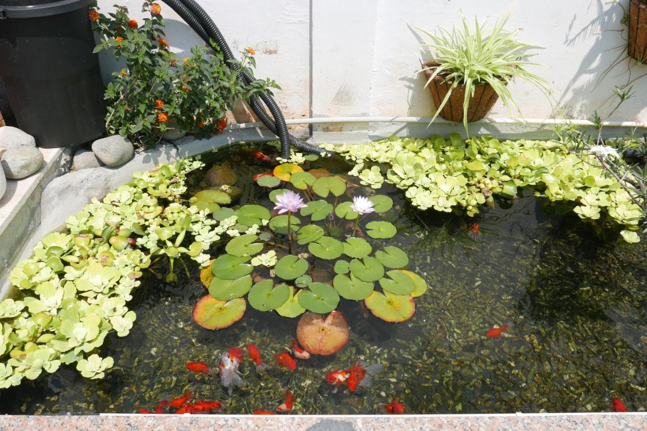 Nature Land 2 - Song Anh Hotel Dalat Exterior foto